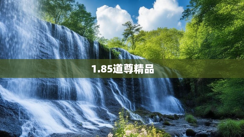 1.85道尊精品