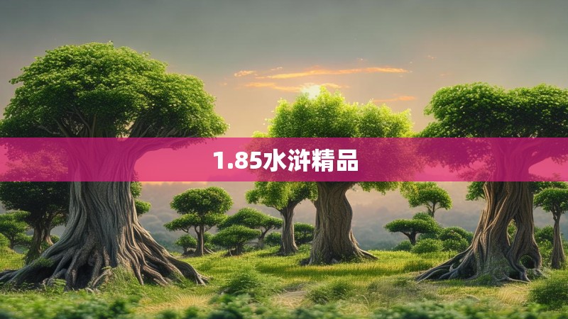 1.85水浒精品