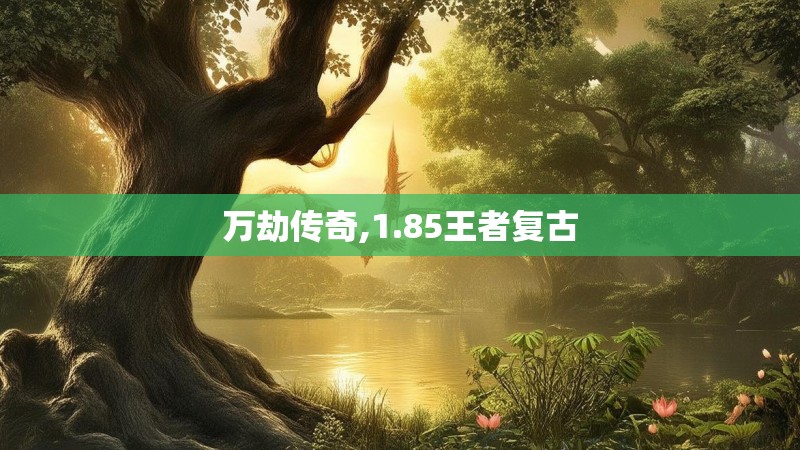万劫传奇,1.85王者复古