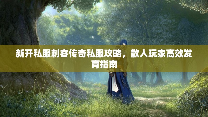 新开私服刺客传奇私服攻略，散人玩家高效发育指南