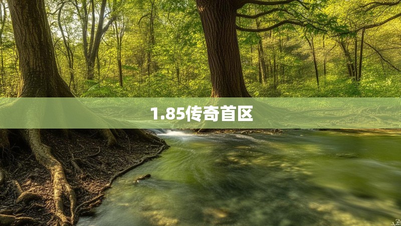 1.85传奇首区