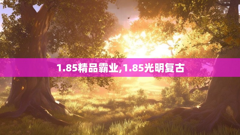 1.85精品霸业,1.85光明复古