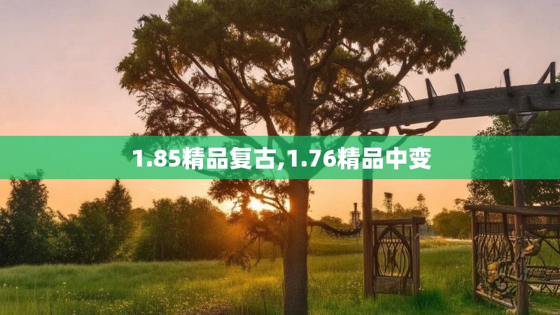 1.85精品复古,1.76精品中变