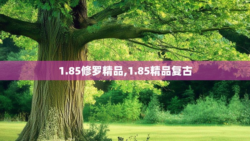 1.85修罗精品,1.85精品复古