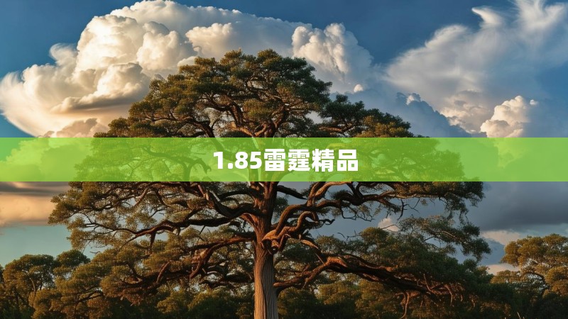 1.85雷霆精品