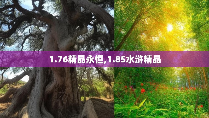 1.76精品永恒,1.85水浒精品