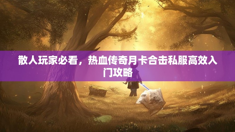 散人玩家必看，热血传奇月卡合击私服高效入门攻略