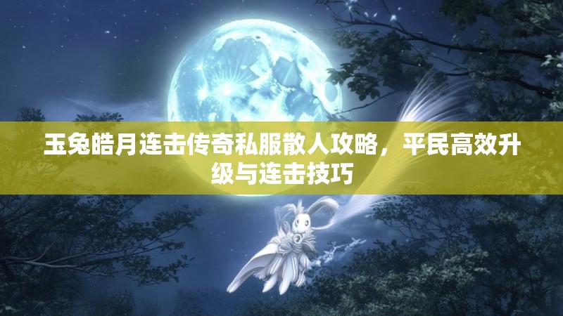 玉兔皓月连击传奇私服散人攻略，平民高效升级与连击技巧