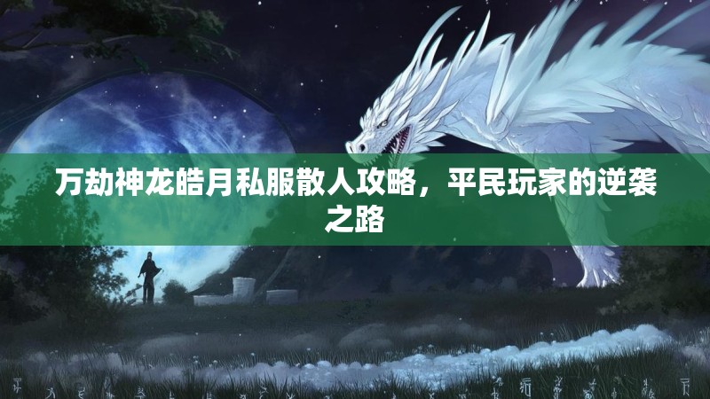 万劫神龙皓月私服散人攻略，平民玩家的逆袭之路