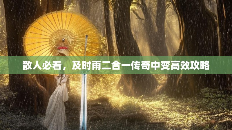 散人必看，及时雨二合一传奇中变高效攻略