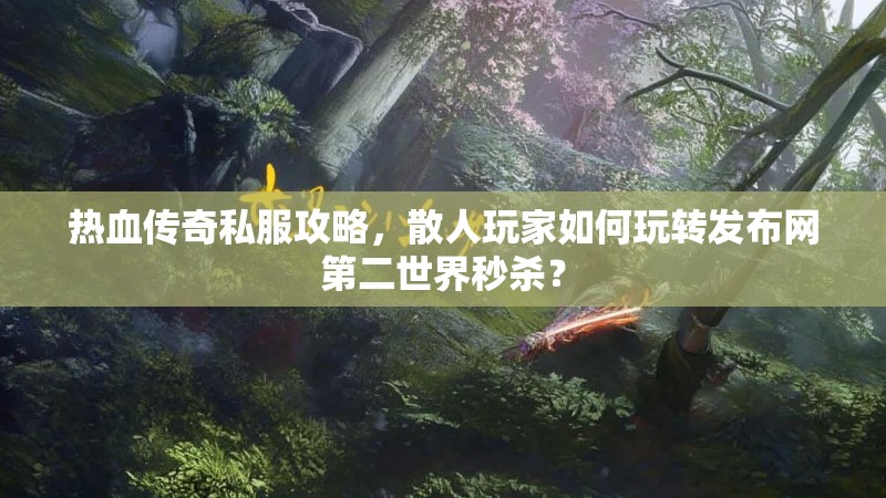 热血传奇私服攻略，散人玩家如何玩转发布网第二世界秒杀？