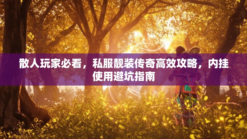 散人玩家必看，私服靓装传奇高效攻略，内挂使用避坑指南