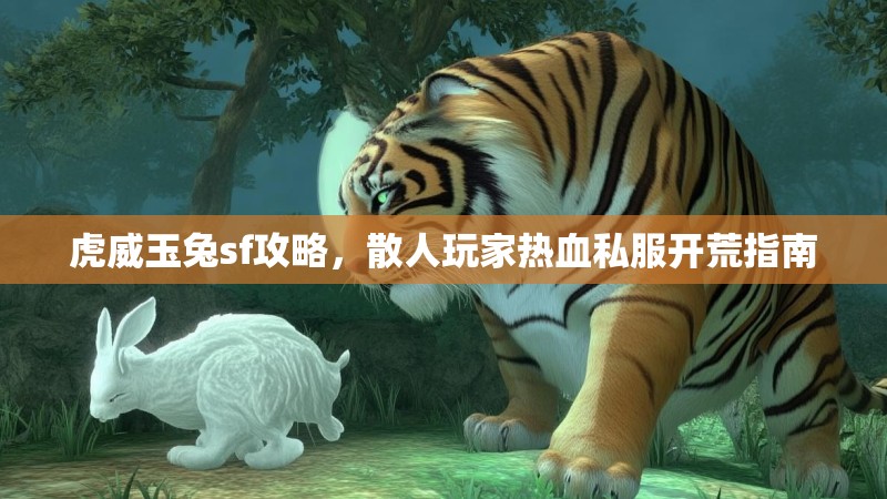 虎威玉兔sf攻略，散人玩家热血私服开荒指南