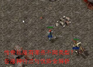 传奇私服有哪些不同类型？各服种特点与优势全解析