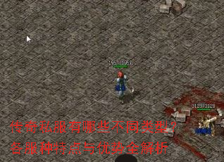 传奇私服有哪些不同类型？各服种特点与优势全解析