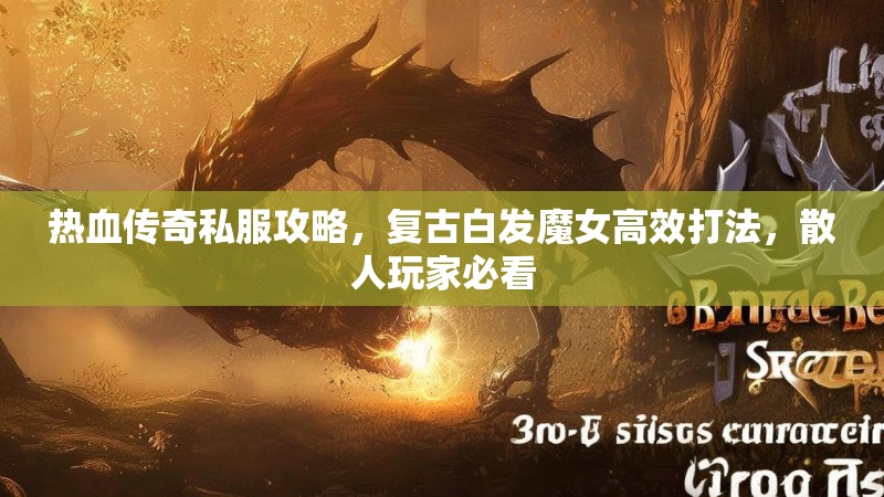 热血传奇私服攻略，复古白发魔女高效打法，散人玩家必看