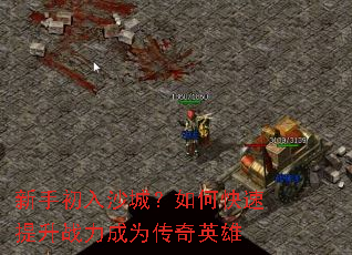 新手初入沙城？如何快速提升战力成为传奇英雄