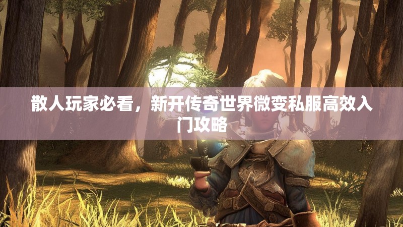 散人玩家必看，新开传奇世界微变私服高效入门攻略