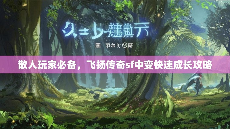 散人玩家必备，飞扬传奇sf中变快速成长攻略
