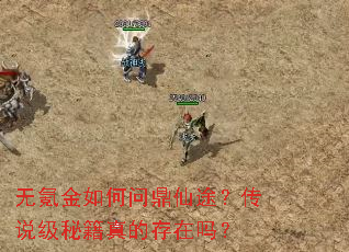 无氪金如何问鼎仙途？传说级秘籍真的存在吗？