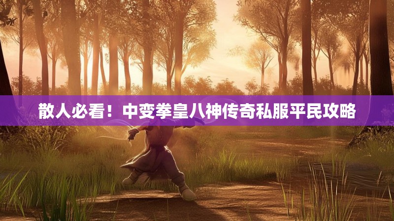 散人必看！中变拳皇八神传奇私服平民攻略