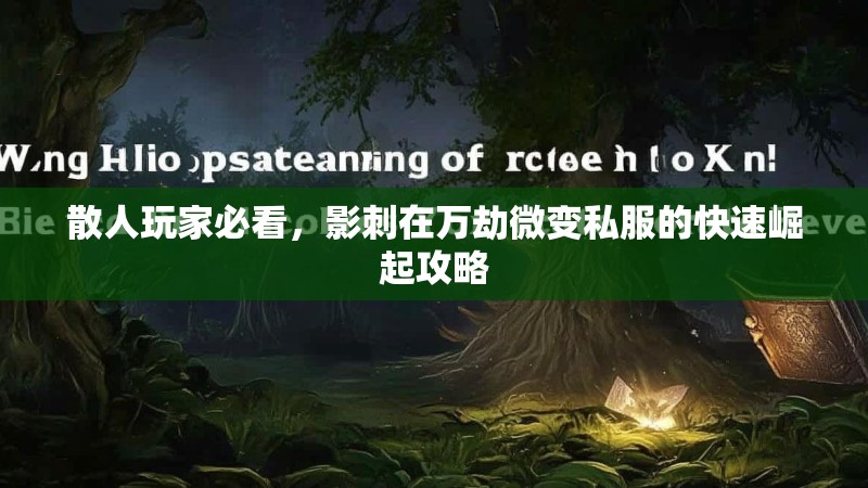 散人玩家必看，影刺在万劫微变私服的快速崛起攻略