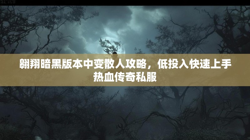 翱翔暗黑版本中变散人攻略，低投入快速上手热血传奇私服