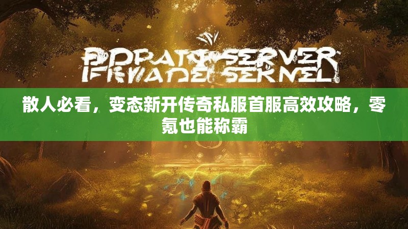 散人必看，变态新开传奇私服首服高效攻略，零氪也能称霸