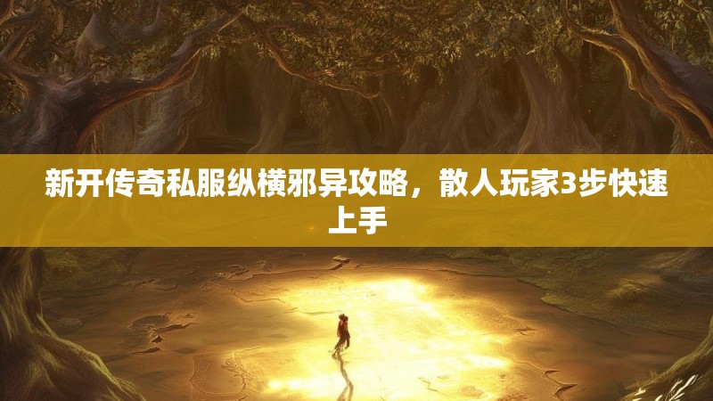 新开传奇私服纵横邪异攻略，散人玩家3步快速上手