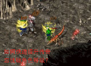 如何快速提升传奇忘忧版角色等级？