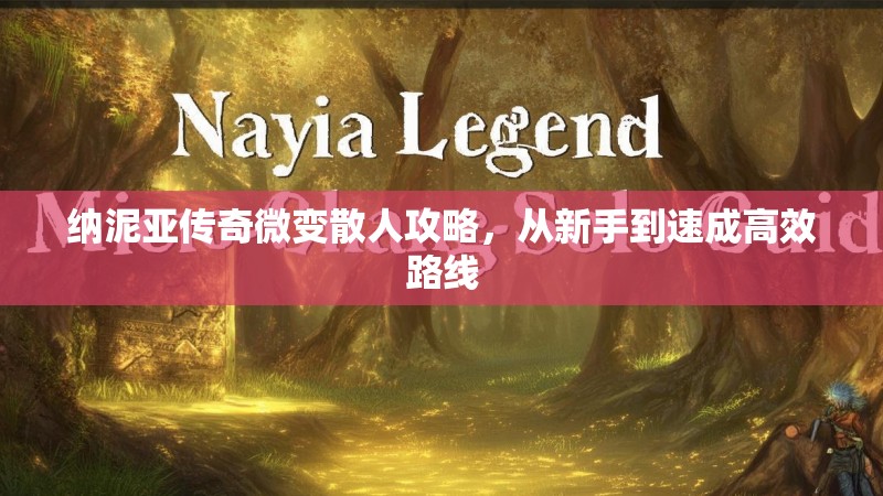 纳泥亚传奇微变散人攻略，从新手到速成高效路线