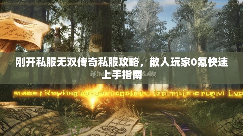 刚开私服无双传奇私服攻略，散人玩家0氪快速上手指南