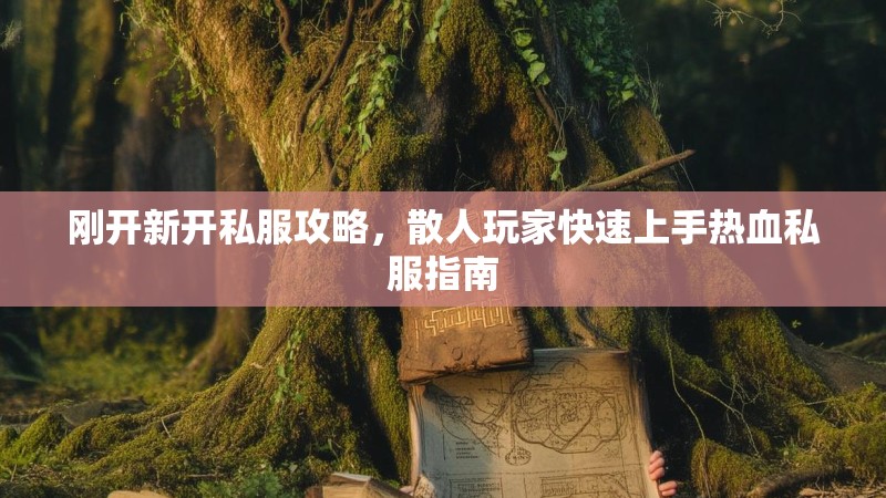 刚开新开私服攻略，散人玩家快速上手热血私服指南
