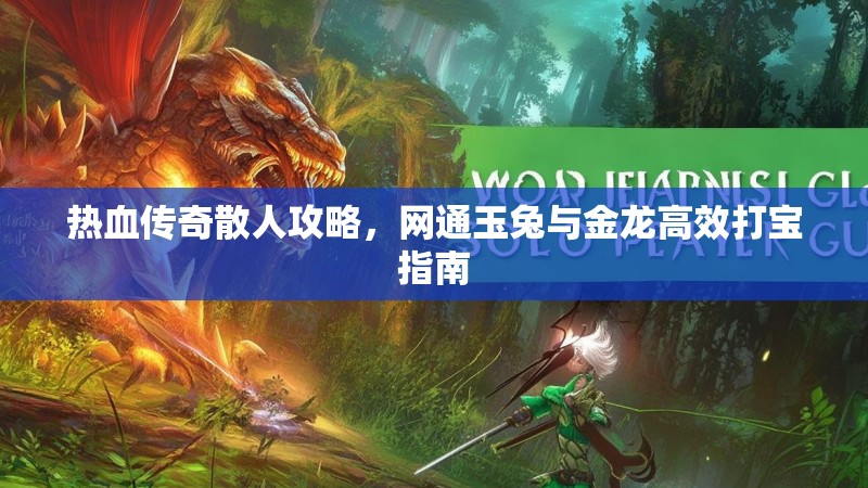 热血传奇散人攻略，网通玉兔与金龙高效打宝指南