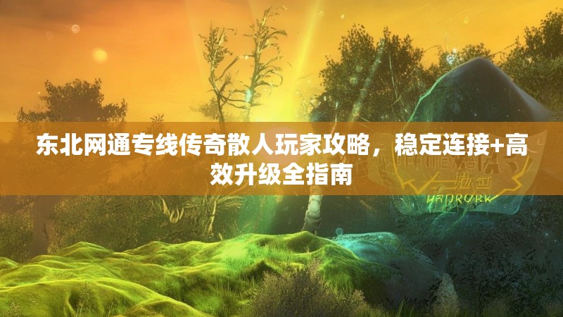 东北网通专线传奇散人玩家攻略，稳定连接+高效升级全指南