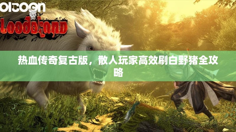 热血传奇复古版，散人玩家高效刷白野猪全攻略
