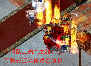 如何踏上霸主之路？传奇新服征战秘籍全解析