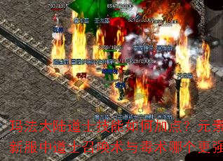 玛法大陆道士技能如何加点？元素传奇新服中道士召唤术与毒术哪个更强？