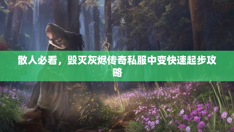 散人必看，毁灭灰烬传奇私服中变快速起步攻略