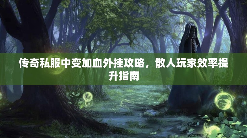 传奇私服中变加血外挂攻略，散人玩家效率提升指南