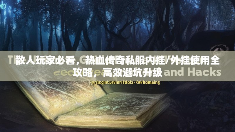 散人玩家必看，热血传奇私服内挂/外挂使用全攻略，高效避坑升级