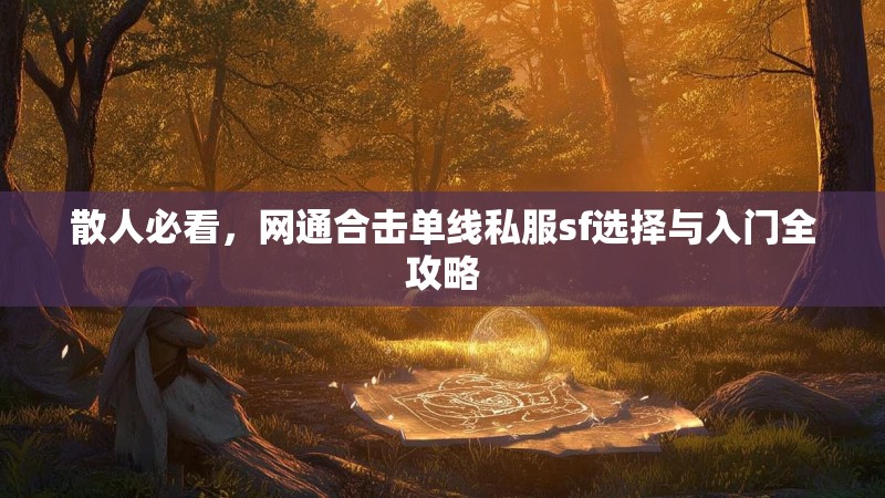 散人必看，网通合击单线私服sf选择与入门全攻略