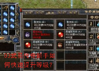 03武易传奇新手如何快速提升等级？