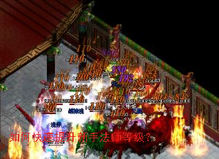 如何快速提升新手法师等级？