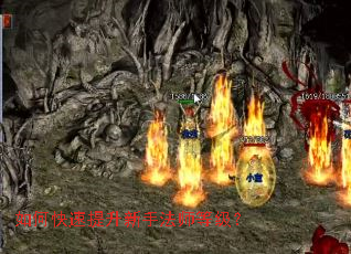 如何快速提升新手法师等级？
