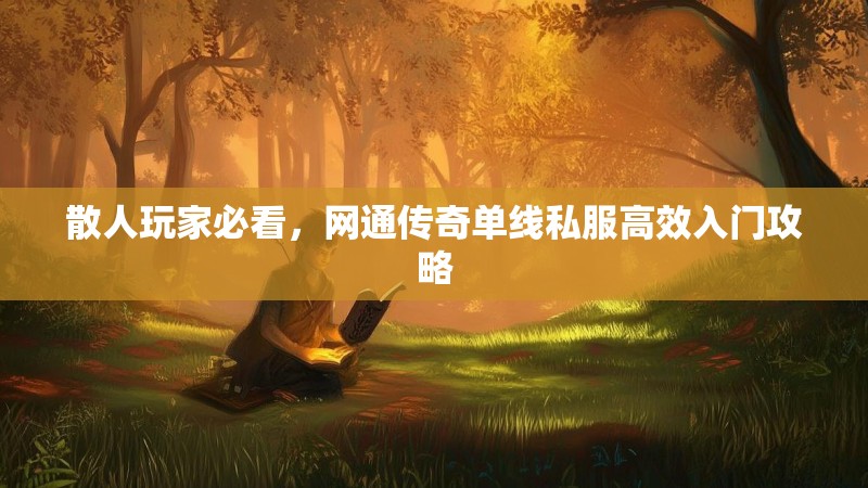 散人玩家必看，网通传奇单线私服高效入门攻略