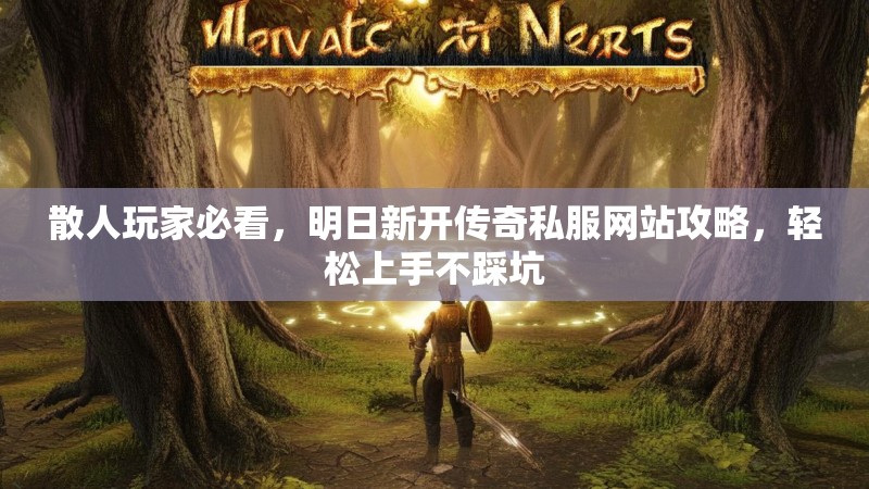 散人玩家必看，明日新开传奇私服网站攻略，轻松上手不踩坑