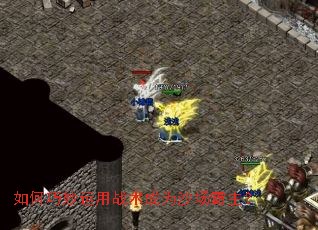 如何巧妙运用战术成为沙场霸主？