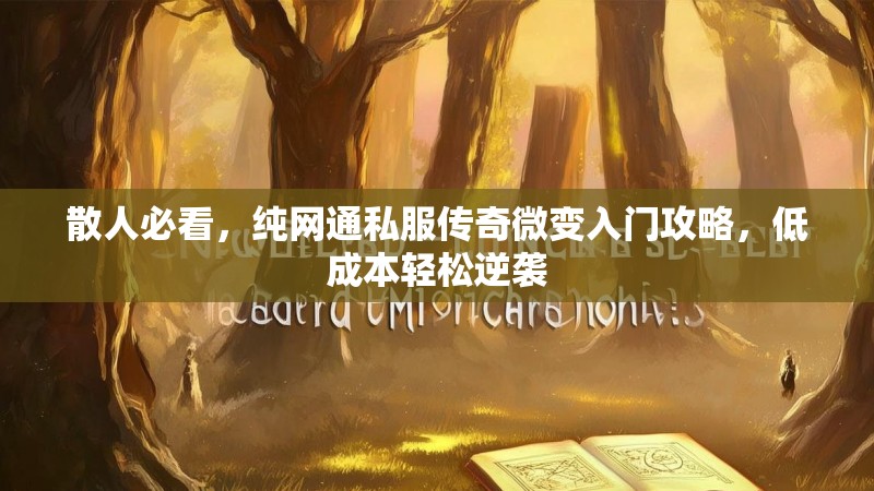 散人必看，纯网通私服传奇微变入门攻略，低成本轻松逆袭