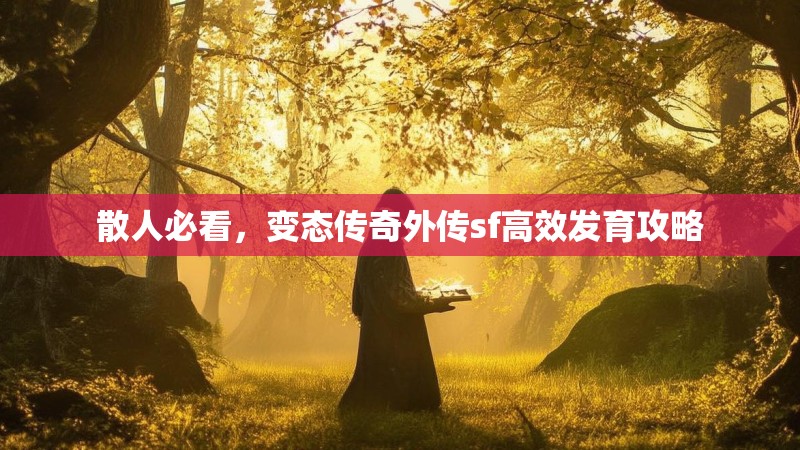 散人必看，变态传奇外传sf高效发育攻略